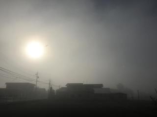 2018.11.28a.jpg