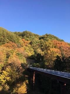 2019.11.08aa.jpg